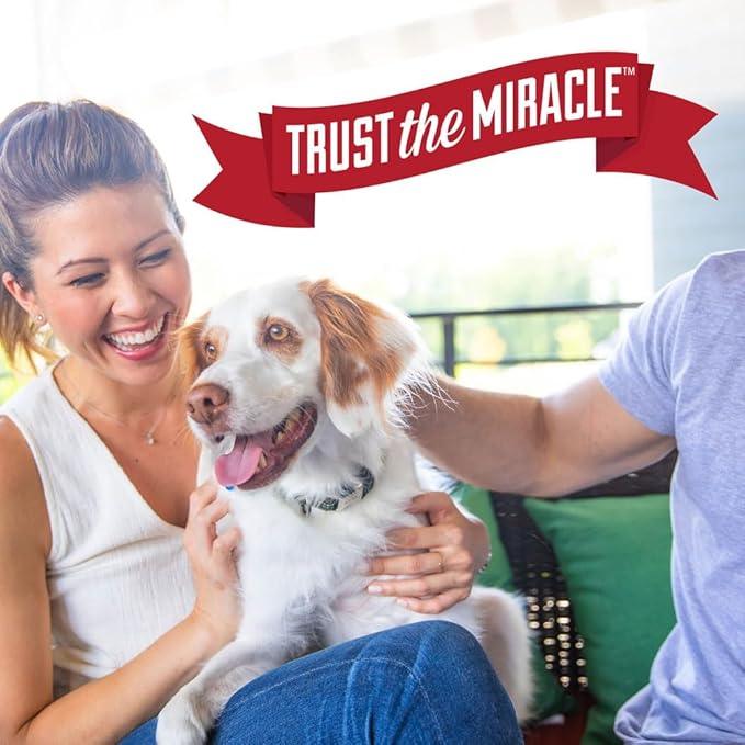 Nature’s Miracle Advanced Stain & Odor Eliminator, Sunny Lemon Scent, Severe Mess Enzymatic Formula For Tough Pet Messes, 1 Gallon - NeatNest