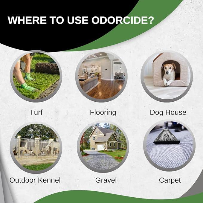 ODORMED Odor Eliminator Concentrate – Pet Odor Eliminator for Strong Odor on Floors, Walls, Cages & More – All-Purpose Carpet Deodorizer w/Safe, Non-Enzymatic Formula (1 Gal, Crisp Mountain Air) - NeatNest