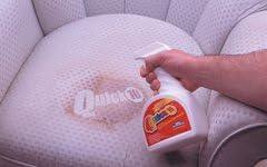 OVERSTOCK ITEM! Quick 10 (Carpet, Clothing, Upholstery & Pet Stain Remover) Includes 2, 32 oz. bottles and 4 powder packets!! Get 2 kits for the price of 1.5! - NeatNest