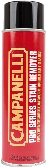 CAMPANELLI Pro Series Stain Remover Spray | Precision Point & Spray Carpet Cleaner for Pet Stains and Odors - Spot Remover for Carpets, Fabrics, Upholstery & Household Spills | 18oz Aerosol - NeatNest