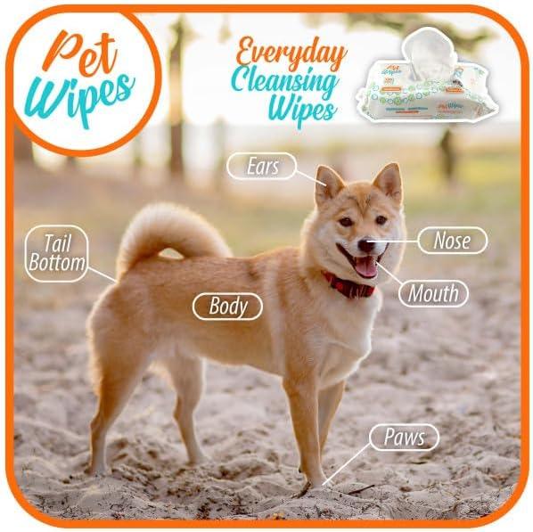 Txakur pet Wipes for Dogs and Cats Hypoallergenic Natural Products for Cleansing from Nose to Tail 100 Count 8x7in Wipes Perfect for Grooming and Cleaning Made in The USA Fragance-Free - NeatNest