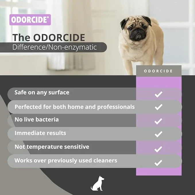 Odorcide Odormed Odor Eliminator Concentrate - Pet Odor Eliminator for Strong Odor on Floors, Walls, Cages & More - All-Purpose with Safe, Non-Enzymatic Formula (1 Gal, French Lavender Vanilla) - NeatNest