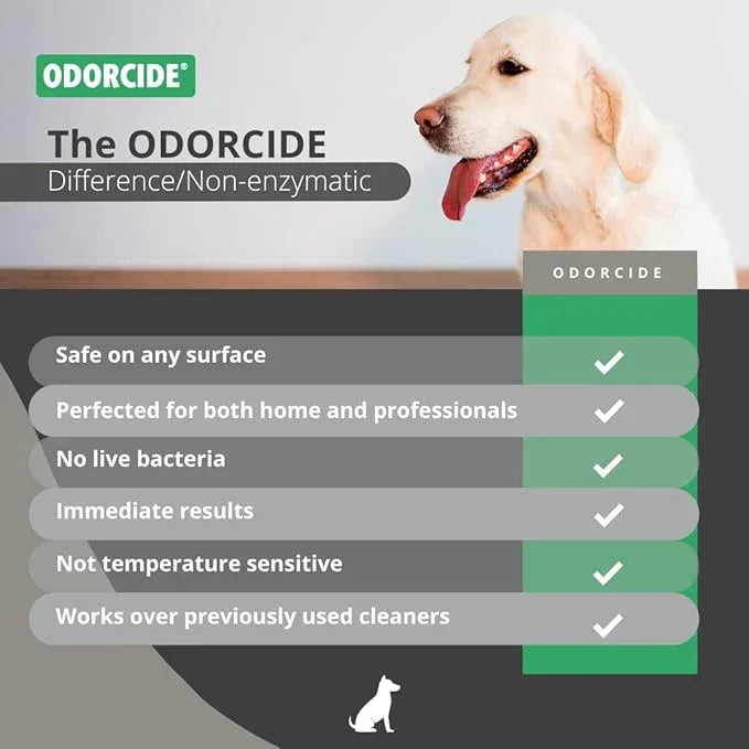 ODORMED Odor Eliminator Concentrate – Pet Odor Eliminator for Strong Odor on Floors, Walls, Cages & More – All-Purpose Carpet Deodorizer w/Safe, Non-Enzymatic Formula (1 Gal, Crisp Mountain Air) - NeatNest
