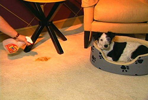 OVERSTOCK ITEM! Quick 10 (Carpet, Clothing, Upholstery & Pet Stain Remover) Includes 2, 32 oz. bottles and 4 powder packets!! Get 2 kits for the price of 1.5! - NeatNest