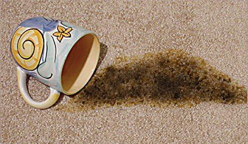OVERSTOCK ITEM! Quick 10 (Carpet, Clothing, Upholstery & Pet Stain Remover) Includes 2, 32 oz. bottles and 4 powder packets!! Get 2 kits for the price of 1.5! - NeatNest
