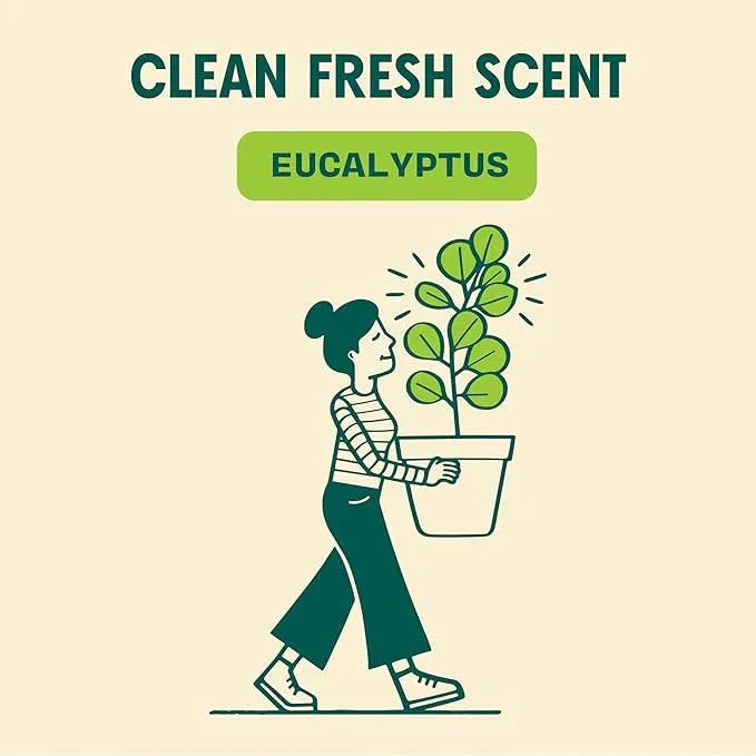 Aunt Fannie's Ultra Concentrated Floor Cleaner Vinegar Wash, Multi-Surface Solution For Mopping, Makes 16 Gallons, Eucalyptus Scent, 32 oz. (Pack of 6) - NeatNest
