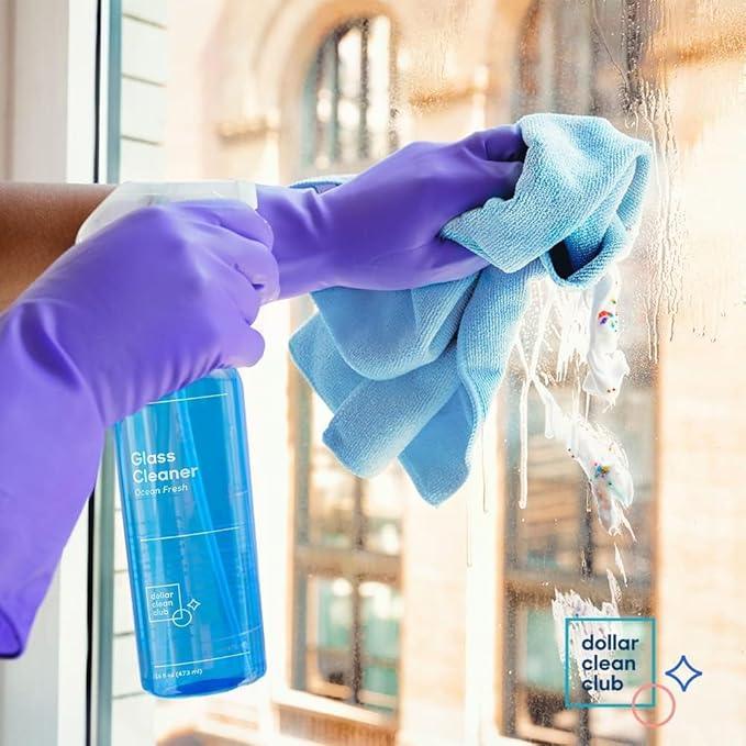 Complete Home Cleaning 15 Pack Kit, Kitchen, Bathroom, Carpet, Dish, and Glass Cleaner Refills - NeatNest