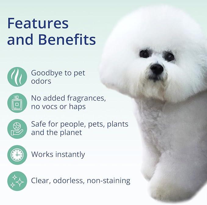 Concentrated Pet Urine Odor Eliminator, Ideal for Cat, Dog Poo and Urine Smell, Versatile & Natural Odor Neutralizer for Home and Outdoor Use, Deodorizer & Absorber, Concentrate, 64oz - NeatNest