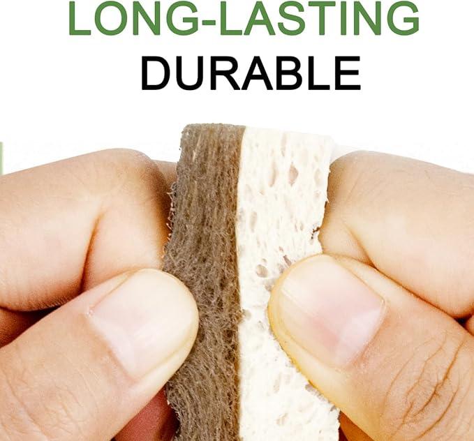 CELOX 24 Pack Coconut Fiber Biodegradable Sponges, Non Scratch Kitchen Cleaning Sponge, Eco-Friendly Dual-Sided Sponge for Dishwashing - NeatNest