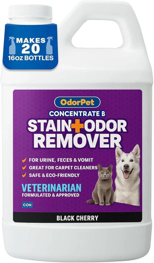 OdorPet Pet Stain Remover and Odor Eliminator - 64 Oz (Makes 2.55 Gallons of Working Solution) Non Staining, Professional Strength, Black Cherry Scent by Alpha Tech Pet - NeatNest