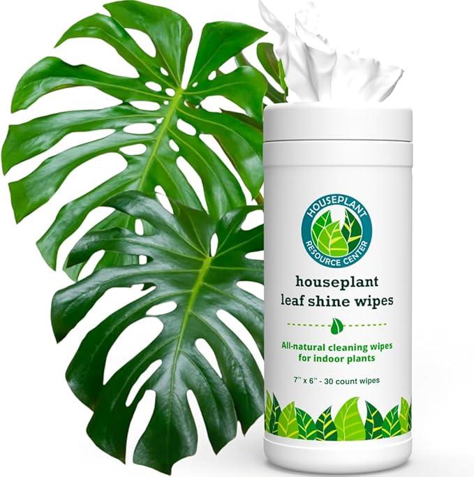 Houseplant Leaf Shine & Cleaner Wipes | Removes Dust, Dirt & Water Spots for Healthier, Glossy Leaves | Easy-to-Use Natural Leaf Cleaning Wipes for Indoor & Outdoor Plants | 30 Count - NeatNest