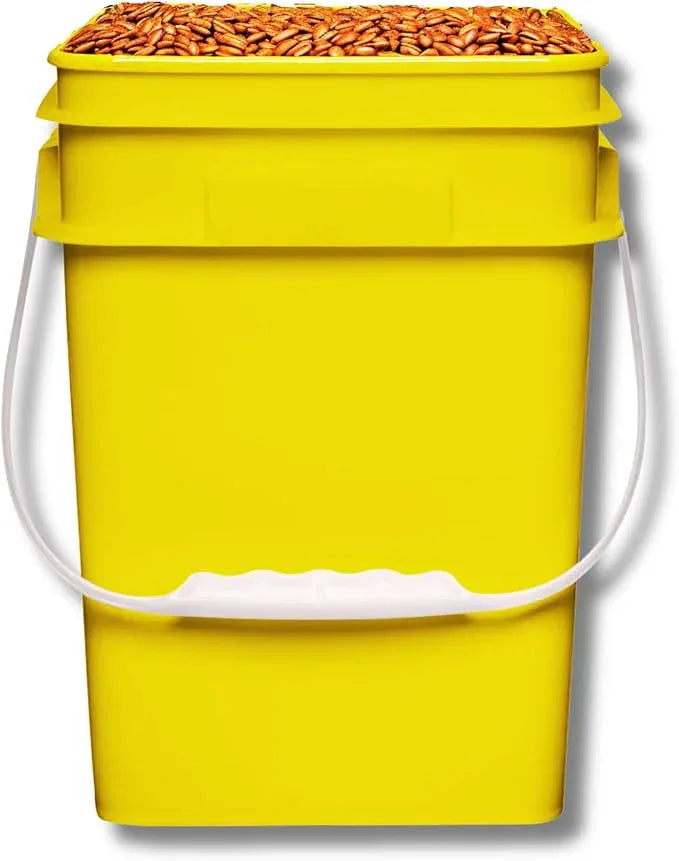 House Naturals 4 Gallon Square Food Grade Bucket Pail with Plastic Handles and Lid (Pack of 3) Made in USA containers (Yellow) - NeatNest