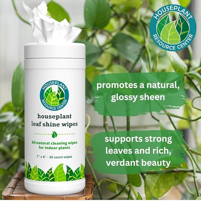 Houseplant Leaf Shine & Cleaner Wipes | Removes Dust, Dirt & Water Spots for Healthier, Glossy Leaves | Easy-to-Use Natural Leaf Cleaning Wipes for Indoor & Outdoor Plants | 30 Count - NeatNest