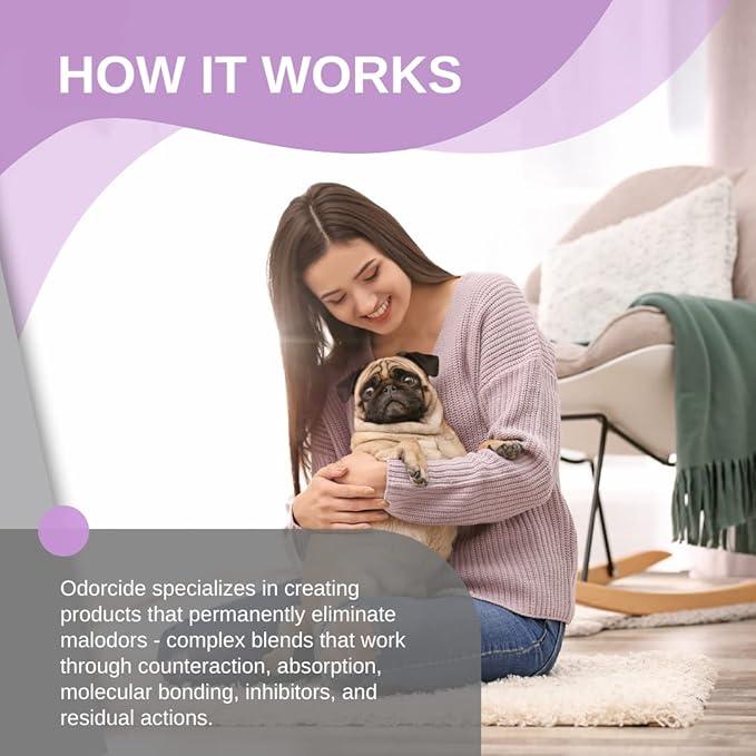 Odorcide Odormed Odor Eliminator Concentrate - Pet Odor Eliminator for Strong Odor on Floors, Walls, Cages & More - All-Purpose with Safe, Non-Enzymatic Formula (1 Gal, French Lavender Vanilla) - NeatNest