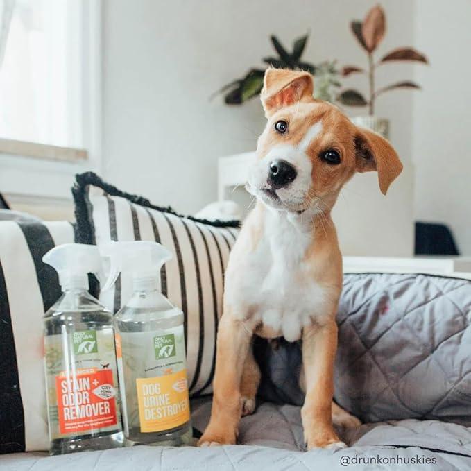 Only Natural Pet Advanced Dog Stain + Odor Remover with Oxy, All-Natural Professional Strength Enzymatic Cleaner - Pet Stain and Urine Odor Remover- 32 Fl Oz - NeatNest