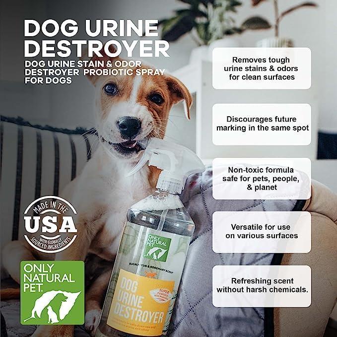 Only Natural Pet Enzyme Powered Stain & Odor Eliminator - Professional Pet Urine Pee Cleaner Deodorizer for Dogs - Hardwood Floors Carpets Upholstery - Eucalyptus & Rosemary Scent - 32Floz - 2 Pack - NeatNest