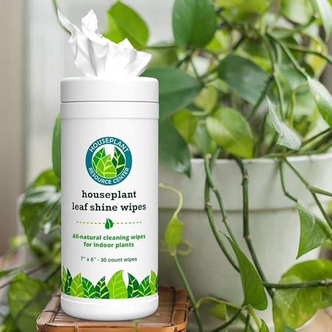 Houseplant Leaf Shine & Cleaner Wipes | Removes Dust, Dirt & Water Spots for Healthier, Glossy Leaves | Easy-to-Use Natural Leaf Cleaning Wipes for Indoor & Outdoor Plants | 30 Count - NeatNest