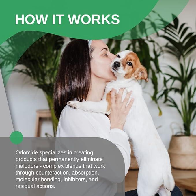 ODORMED Odor Eliminator Concentrate – Pet Odor Eliminator for Strong Odor on Floors, Walls, Cages & More – All-Purpose Carpet Deodorizer w/Safe, Non-Enzymatic Formula (1 Gal, Crisp Mountain Air) - NeatNest