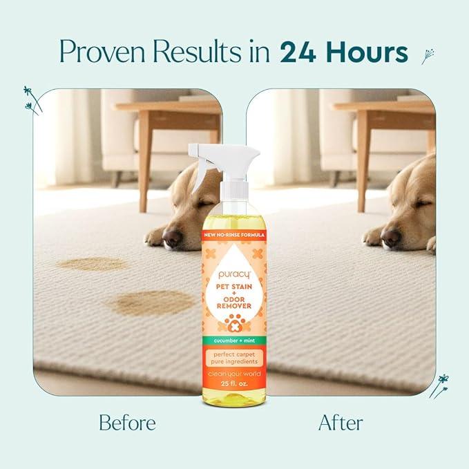 Puracy Pet Stain and Odor Remover - Enzyme Cleaner for Dog Urine and Poop Carpet - Cat Pee Enzyme Cleaner for Cat Urine - Cucumber & Mint, 48oz - NeatNest
