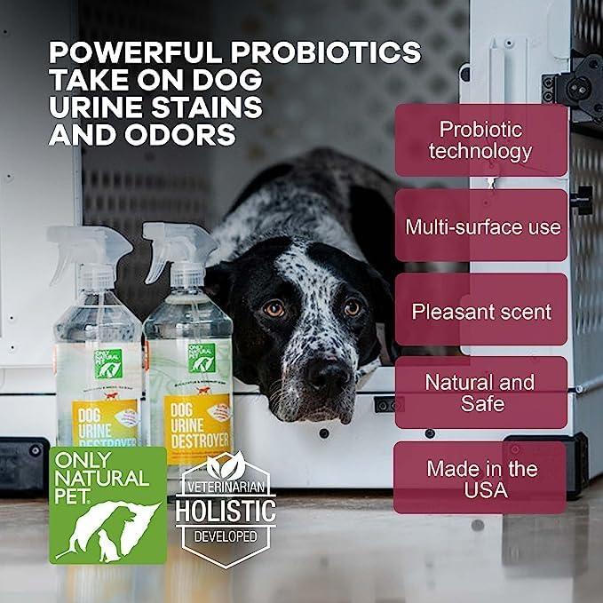 Only Natural Pet Enzyme Powered Stain & Odor Eliminator - Professional Pet Urine Pee Cleaner Deodorizer for Dogs - Hardwood Floors Carpets Upholstery - Eucalyptus & Rosemary Scent - 32Floz - 2 Pack - NeatNest