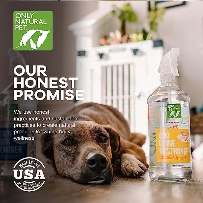 Only Natural Pet Enzyme Powered Stain & Odor Eliminator - Professional Pet Urine Pee Cleaner Deodorizer for Dogs - Hardwood Floors Carpets Upholstery - Eucalyptus & Rosemary Scent - 32Floz - 2 Pack - NeatNest