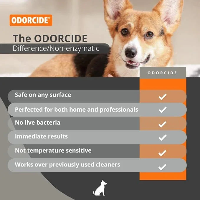 Odorcide Odormed Odor Eliminator Concentrate - Pet Odor Eliminator for Strong Odor on Floors, Walls, Cages & More - All-Purpose with Safe, Non-Enzymatic Formula (1 Gal, Caribbean Citrus Mist) - NeatNest