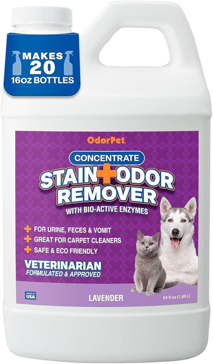 OdorPet Pet Stain Remover and Odor Eliminator - 64 Oz (Makes 2.55 Gallons of Working Solution) Non Staining, Professional Strength, Lavender Scent by Alpha Tech Pet - NeatNest