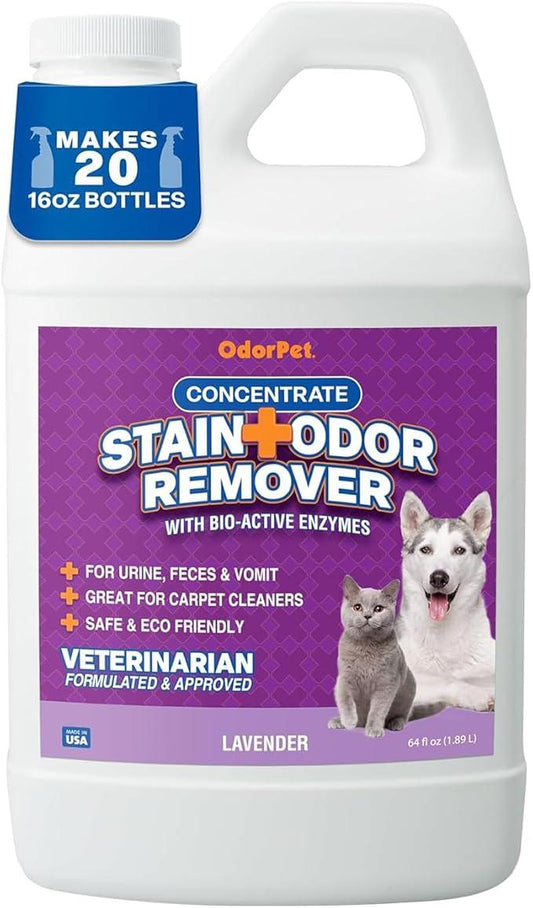 OdorPet Pet Stain Remover and Odor Eliminator - 64 Oz (Makes 2.55 Gallons of Working Solution) Non Staining, Professional Strength, Lavender Scent by Alpha Tech Pet - NeatNest