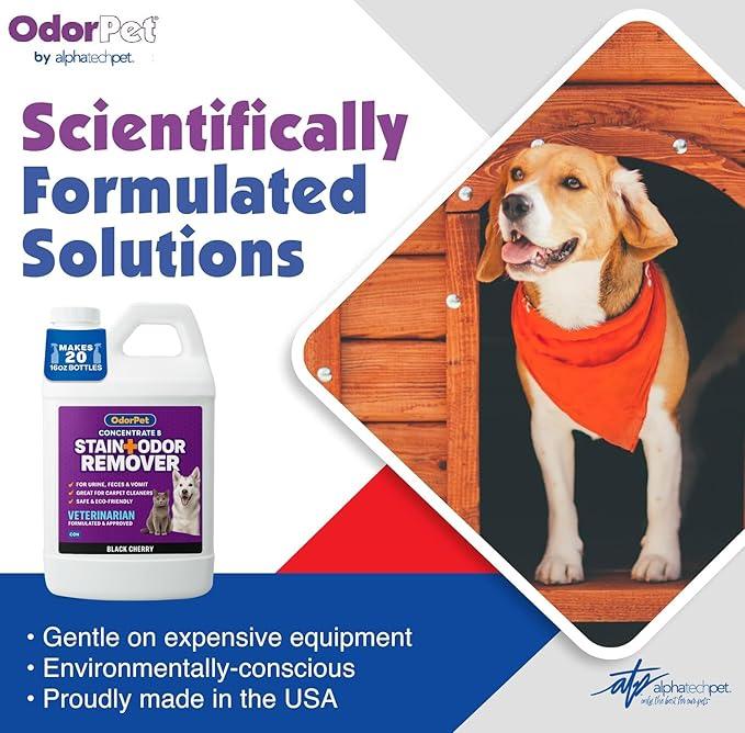 OdorPet Pet Stain Remover and Odor Eliminator - 64 Oz (Makes 2.55 Gallons of Working Solution) Non Staining, Professional Strength, Black Cherry Scent by Alpha Tech Pet - NeatNest