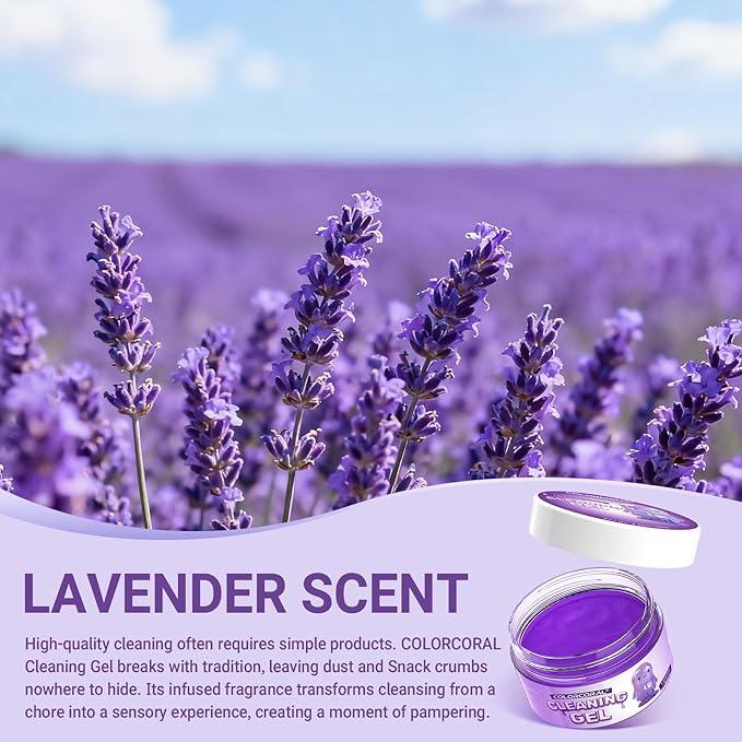 ColorCoral Car Cleaning Gel Reusable（Lavender Scent,Purple） - Dust Cleaning Putty Keyboard Slime for Car Interior Air Vent Cleaner, Auto Detailing Tools Accessories, Dust Remover Gifts for Men Women - NeatNest