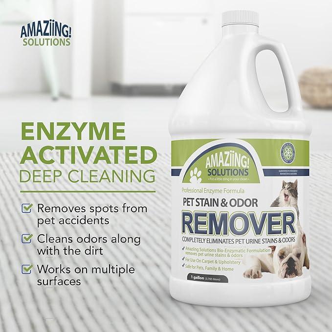 Pet Stain and Odor Remover - Enzyme Cleaner, Pet Urine Odor Eliminator Refill - Floor & Carpet Cleaner, Pet Deodorizers For Home, Fabric Freshener W/Fresh, Clean Scent, 1 Gallon - NeatNest