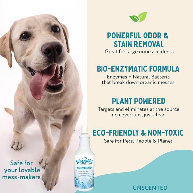 Wee Away Original Formula Concentrated Stain & Odor Remover, Enzyme Cleaner, Pet Urine Odor Eliminator for Home - Pet Mess Destroyer for Carpet & Furniture, Unscented, 32 fl oz - NeatNest