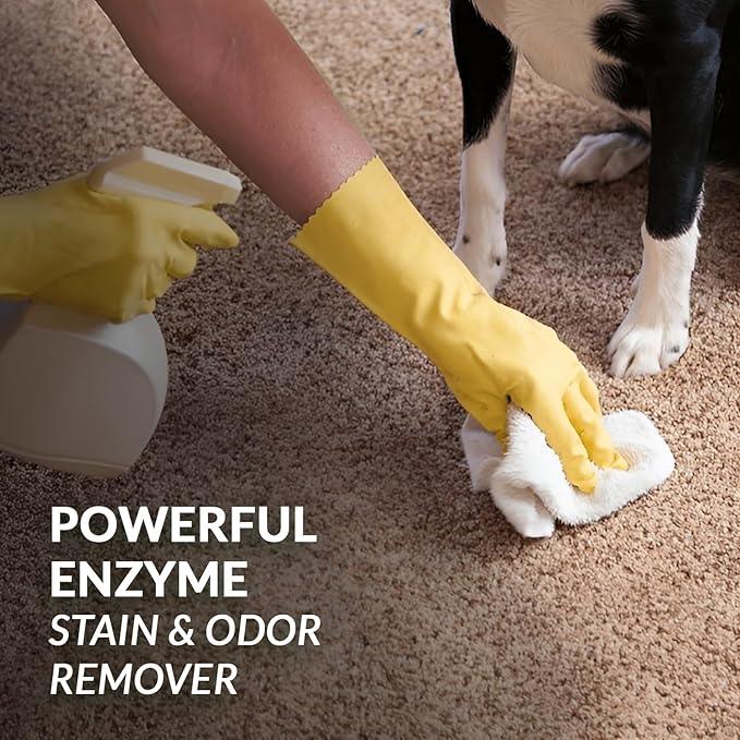 Strong Stain & Odor Eliminator - Cats & Dog Enzymatic Urine Destroyer -MADE IN USA- Fresh Scent Multi-Purpose Pet Stain Remover for Floors, Carpet, Bathrooms, Drains & Trash Deodorizer cleaner, 128oz - NeatNest