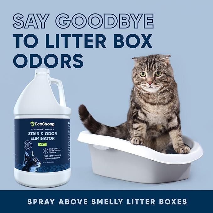 Eco Strong Cat Stain and Odor Remover| Enzyme Urine Odor Neutralizer - Stain Remover for Carpet, Litter Boxes, Bedding, and Laundry [160 Fl Oz Bundle] - NeatNest
