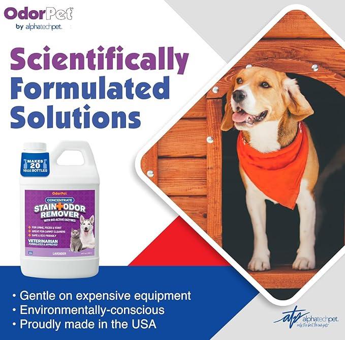 OdorPet Pet Stain Remover and Odor Eliminator - 64 Oz (Makes 2.55 Gallons of Working Solution) Non Staining, Professional Strength, Lavender Scent by Alpha Tech Pet - NeatNest