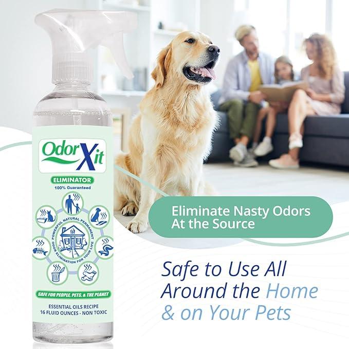 Pet Urine Odor Eliminator Spray, Ideal for Cat, Dog Poo and Urine Smell, Versatile & Natural Odor Neutralizer for Home and Outdoor Use, Ready to Use, 16oz - NeatNest