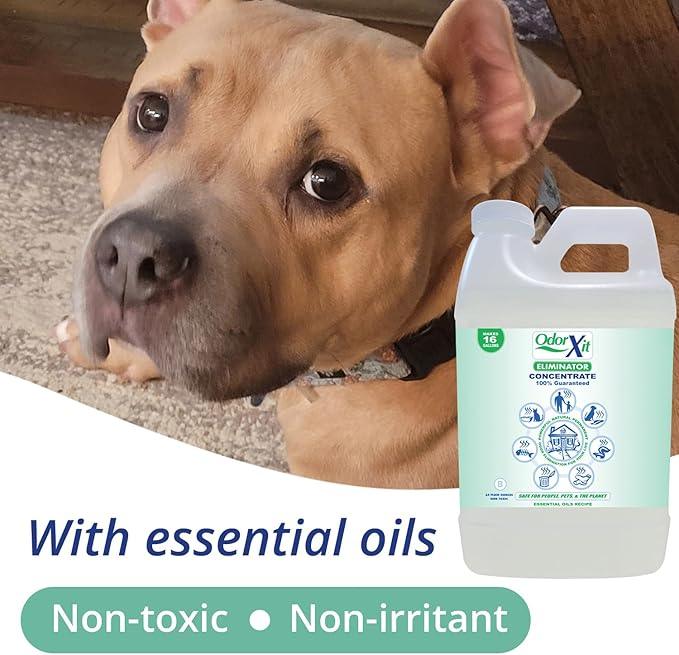 Concentrated Pet Urine Odor Eliminator, Ideal for Cat, Dog Poo and Urine Smell, Versatile & Natural Odor Neutralizer for Home and Outdoor Use, Deodorizer & Absorber, Concentrate, 64oz - NeatNest