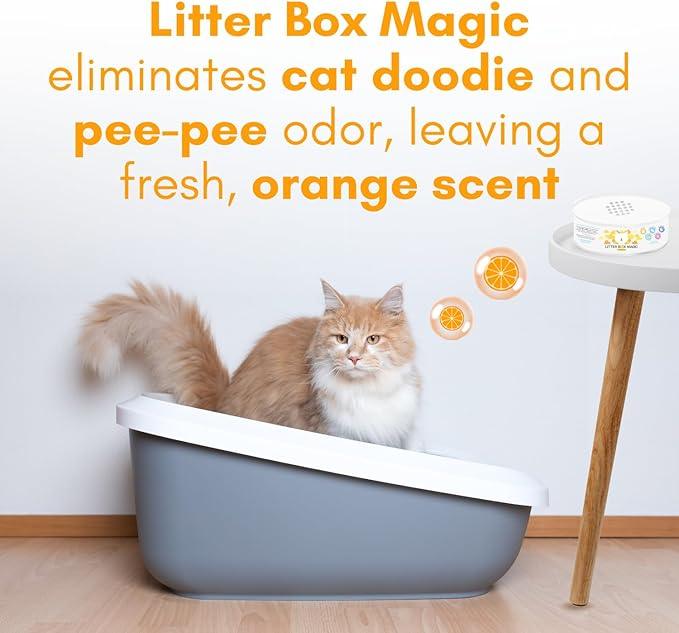 Litter Box Magic Cat Litter Deodorizer Jar (Orange Scent, 16 Oz, Pack of 1) - Cat Litter Odor Control Gel In A Jar - Cat Litter Box Pet Air Freshener - Litter Odor Eliminator to Freshen Air - NeatNest