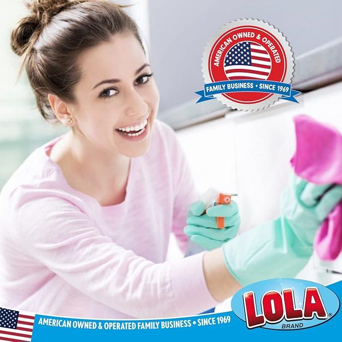 LOLA Nylon Netting Sponge Cleaning Scrubber Pad, 2 Pack, Non Scratch, Safe on Non-Stick Surfaces Coated Cookware & Dishes - Gentle Effective Cleaning - NeatNest
