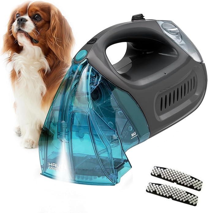 Hausmeister Hydroflex Portable Carpet Cleaner Machine, Upholstery Cleaner Machine for Couch, Car Seats & Pet Stains, 500W Powerful Handheld Deep Cleaner with 3 Brush Heads - NeatNest