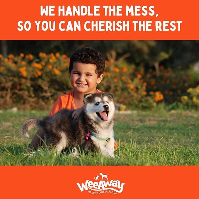 Wee Away Original Formula Concentrated Stain & Odor Remover, Enzyme Cleaner, Pet Urine Odor Eliminator for Home - Pet Mess Destroyer for Carpet & Furniture, Original Citrus Scent, 32 fl oz - NeatNest