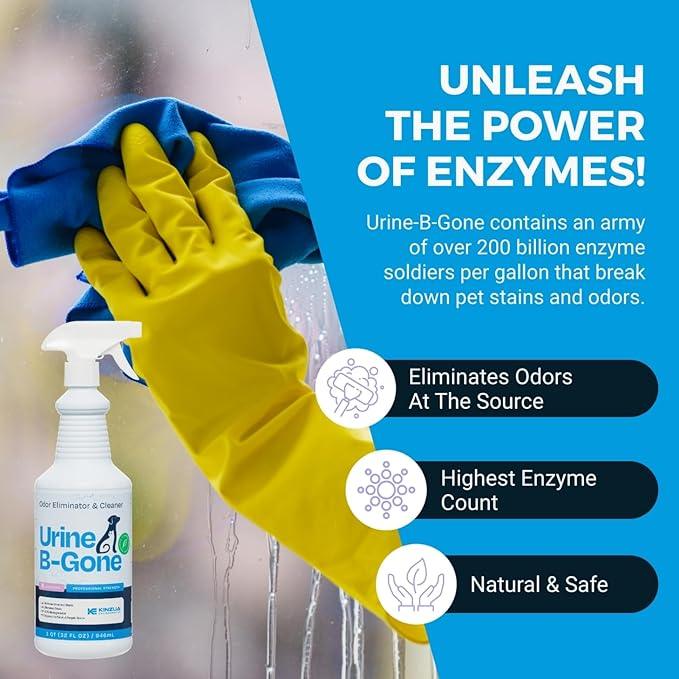KINZUA ENVIRONMENTAL Urine B-Gone, Professional Enzyme Odor Eliminator & Pet Stain Remover, Human, Cat & Dog Urine Cleaner, Effective on Laundry, Carpets & More, Lavender Scent, 32oz - NeatNest