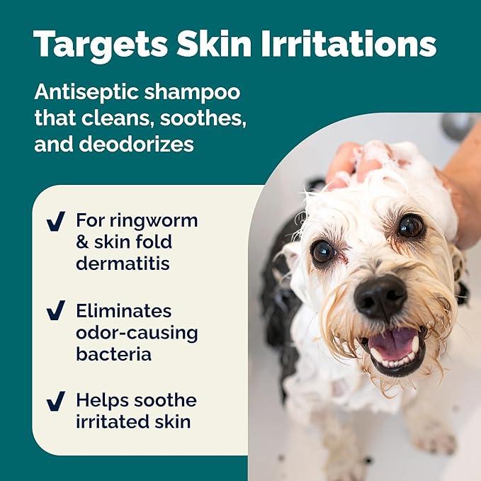 Vetnique Dermabliss Advanced Vet Strength Chlorhexidine for Dogs - Antibacterial Medicated Dog Shampoo - for Skin Infections & Irritation, Hot Spots & Redness Relief (Medicated Shampoo, 16oz) - NeatNest