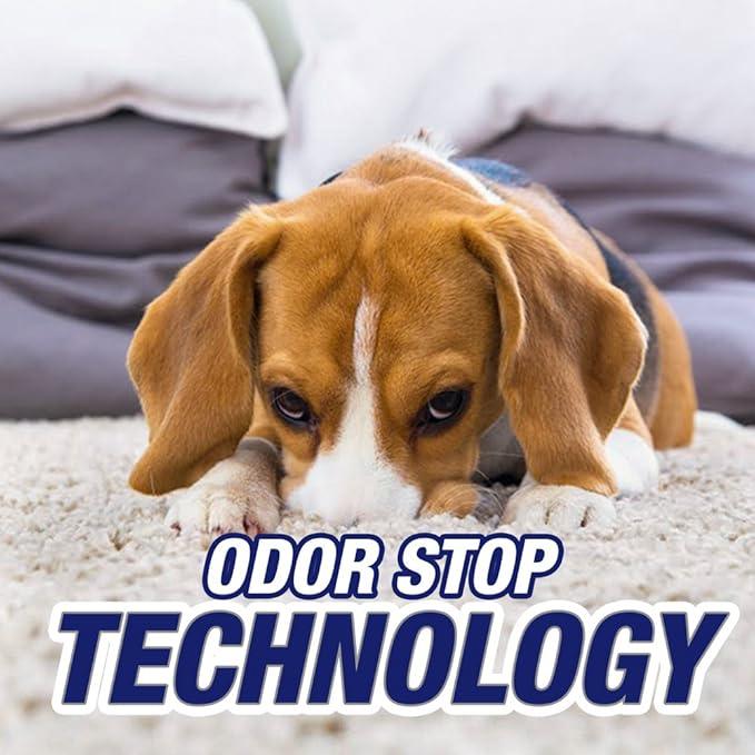 Resolve Pet Expert Stain and Odor Remover, Carpet Cleaner, Pet Stain and Odor Remover, Carpet & Upholstery Cleaner - Removes Stains and Odors, 22 oz (pack of 6) - NeatNest