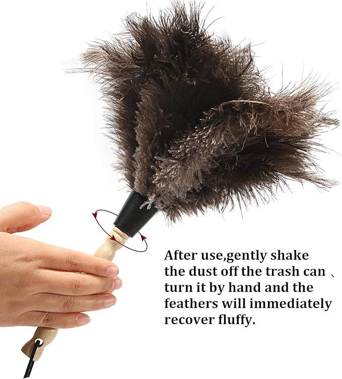 Ostrich Feather Duster 14 inch Fluffy Natural Genuine Ostrich Feathers with Wooden Handle and Eco-Friendly Reusable Handheld Ostrich Feather Duster for Cleaning Supplies(5PCS) - NeatNest