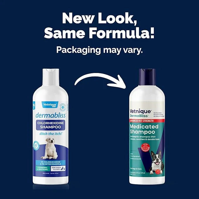 Vetnique Dermabliss Advanced Vet Strength Chlorhexidine for Dogs - Antibacterial Medicated Dog Shampoo - for Skin Infections & Irritation, Hot Spots & Redness Relief (Medicated Shampoo, 16oz) - NeatNest