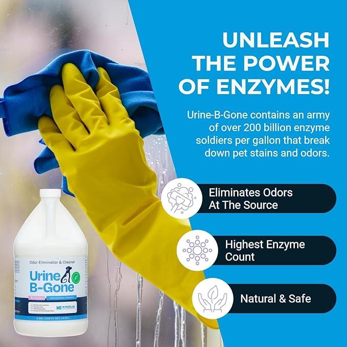 KINZUA ENVIRONMENTAL Urine B-Gone, Professional Enzyme Odor Eliminator & Pet Stain Remover, Human, Cat & Dog Urine Cleaner, Effective on Laundry, Carpets & More, Lavender Scent, 1 Gallon - NeatNest