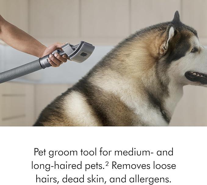 Dyson Ball Animal 3 Extra Upright Vacuum, Corded, 290AW, De-tangling Motorbar Cleaner Head for All Floors, 3 Suction Modes, Specialized pet Tools - NeatNest