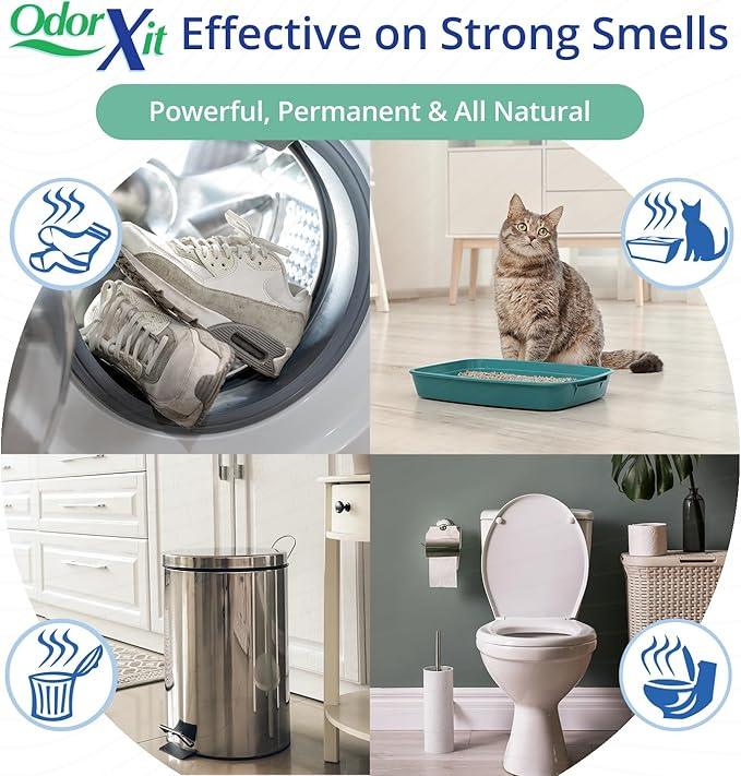 Concentrated Pet Urine Odor Eliminator, Ideal for Cat, Dog Poo and Urine Smell, Versatile & Natural Odor Neutralizer for Home and Outdoor Use, Deodorizer & Absorber, Concentrate, 16oz - NeatNest