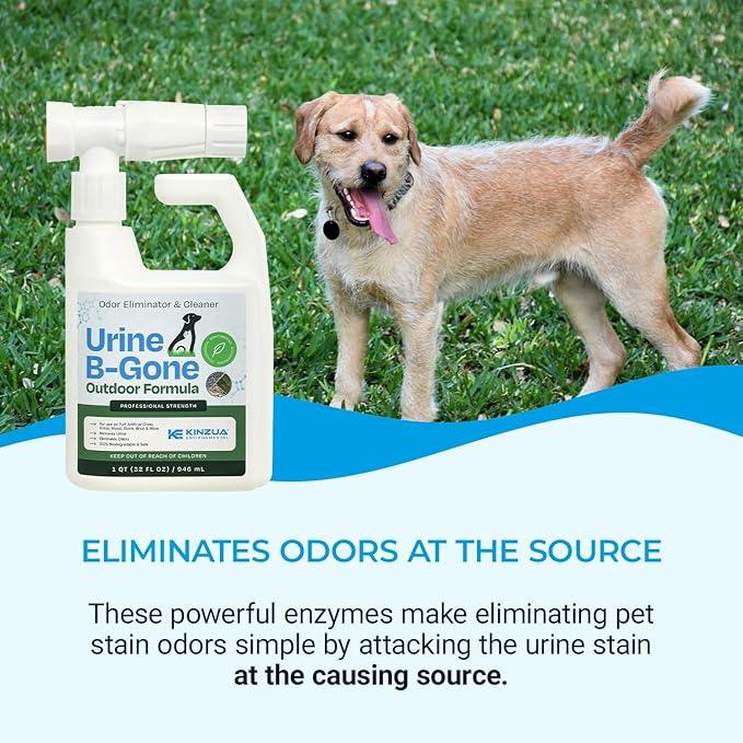 KINZUA ENVIRONMENTAL Urine B-Gone OD Professional Pet Urine Enzyme Cleaner, Pet Yard Odor Eliminator for Artificial Grass, Concrete & More, 32 fl oz - NeatNest